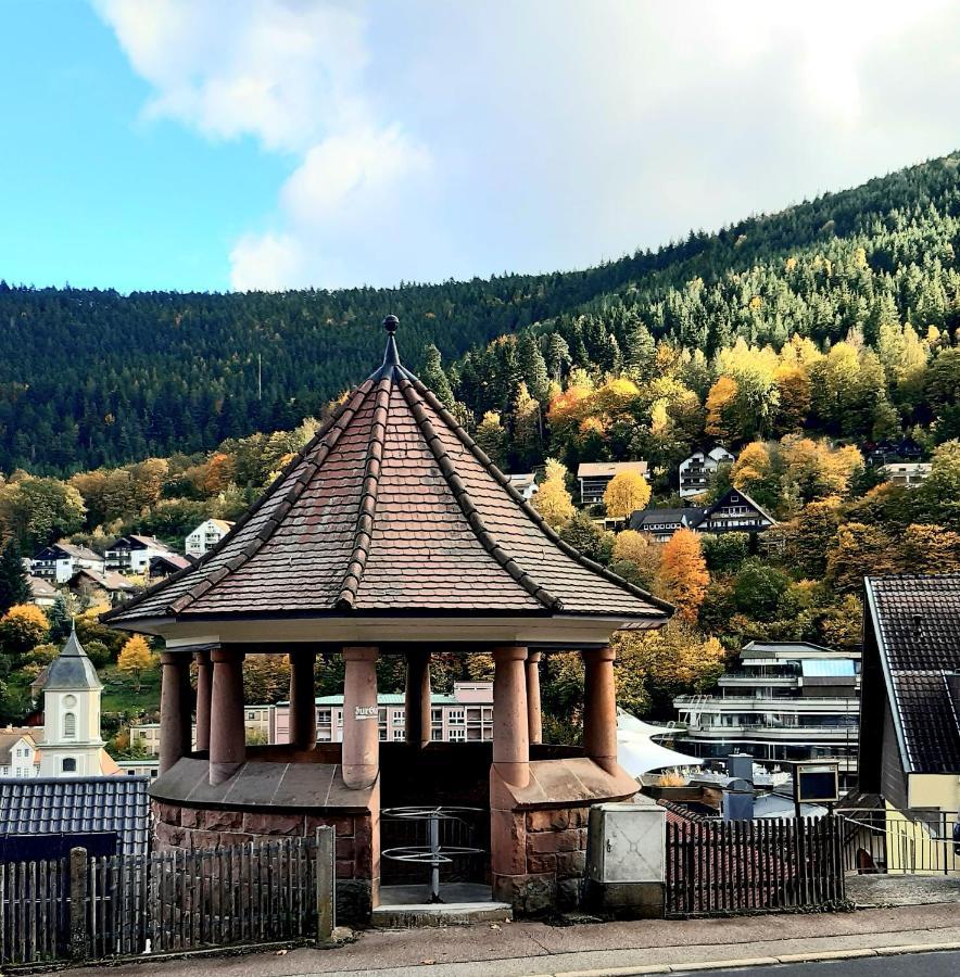 Appartement Fewo Sehl à Bad Wildbad Extérieur photo