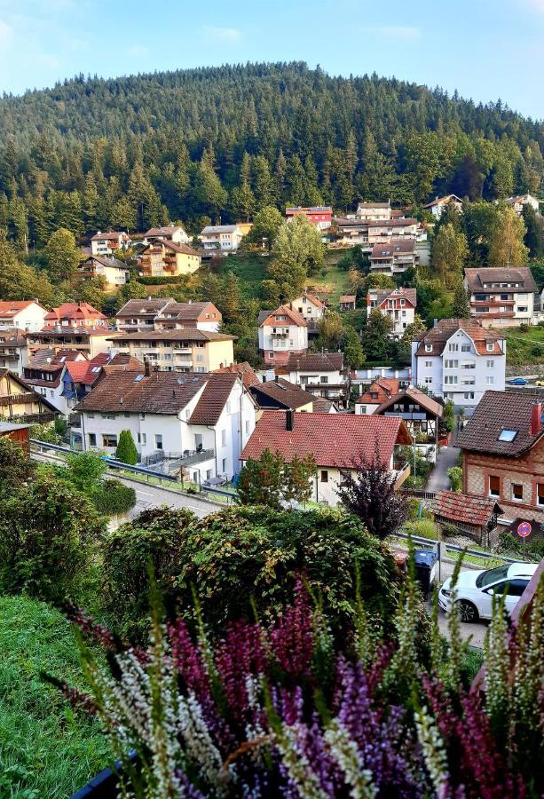 Appartement Fewo Sehl à Bad Wildbad Extérieur photo
